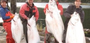 halibut fishing west coast vancouver island